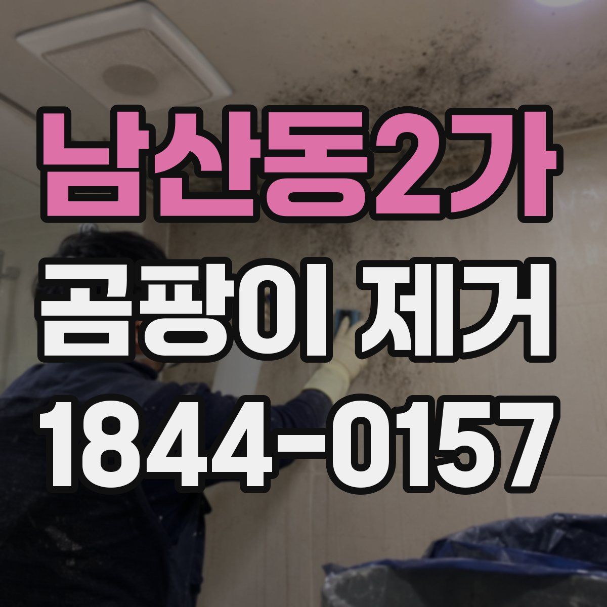 남산동2가 곰팡이 제거