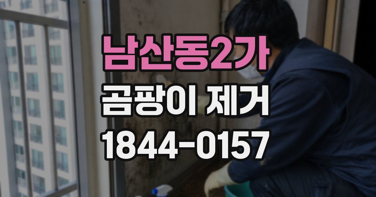 남산동2가 곰팡이 제거
