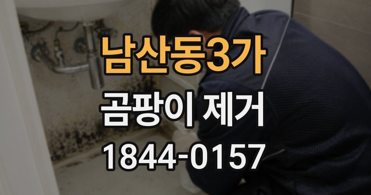 남산동3가 곰팡이 제거