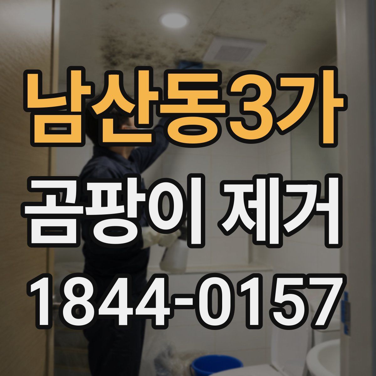 남산동3가 곰팡이 제거