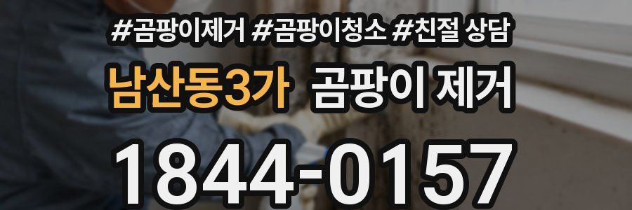 남산동3가 곰팡이 제거