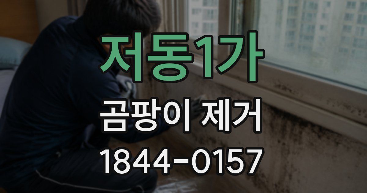 저동1가 곰팡이 제거