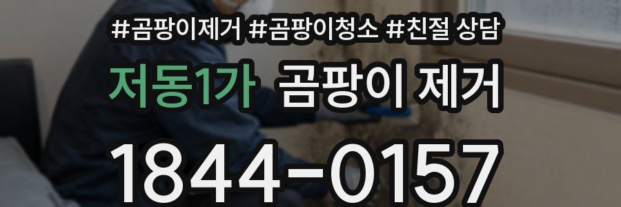 저동1가 곰팡이 제거