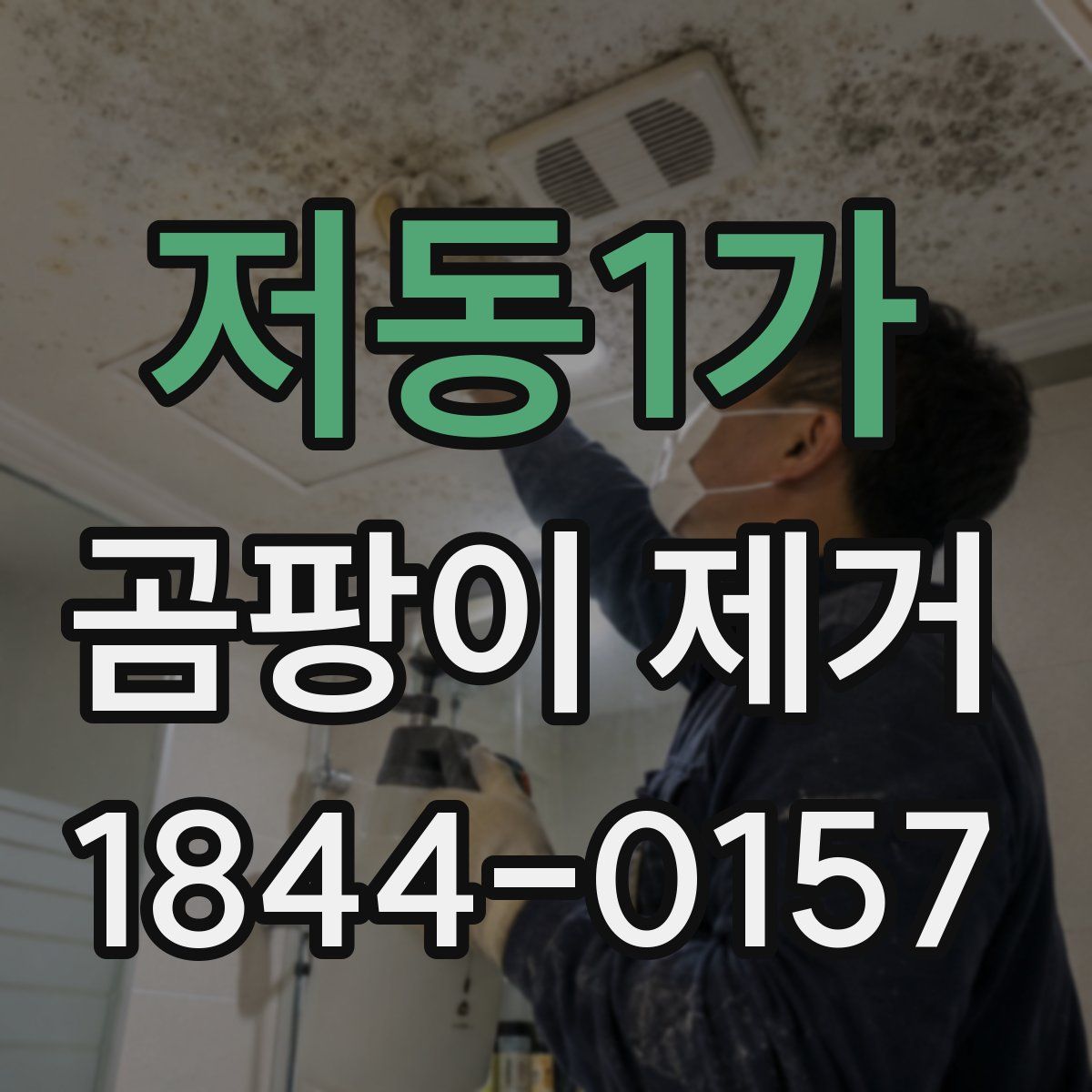 저동1가 곰팡이 제거