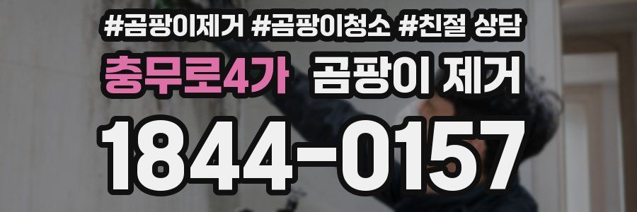 충무로4가 곰팡이 제거