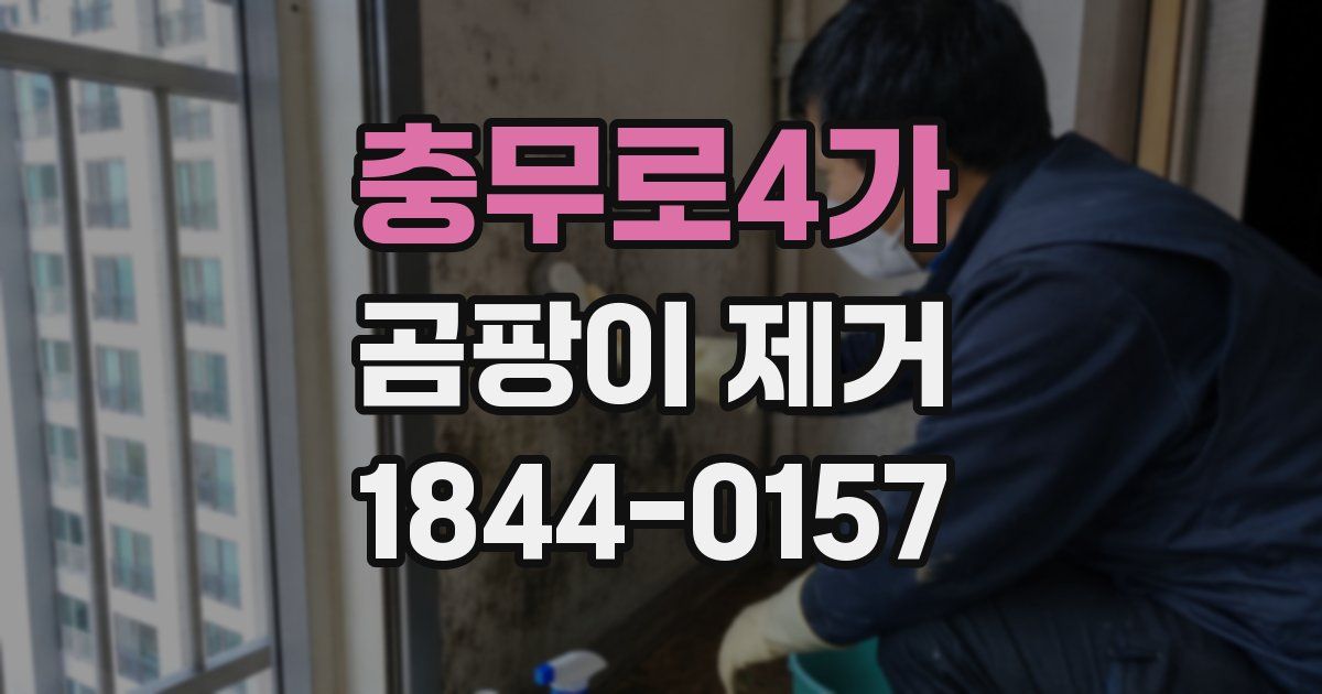 충무로4가 곰팡이 제거