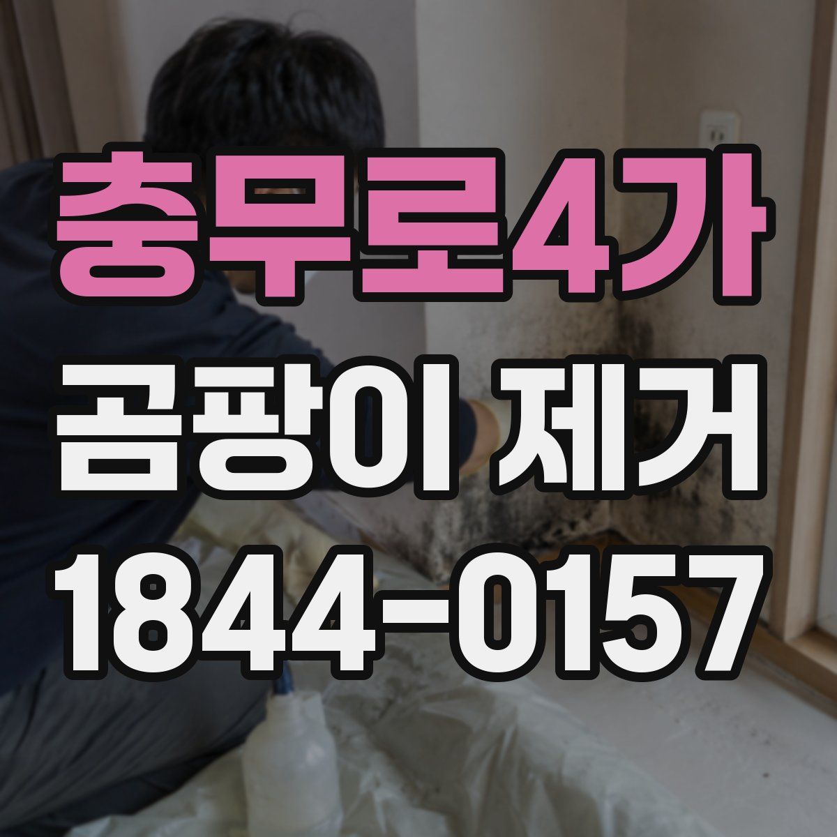 충무로4가 곰팡이 제거