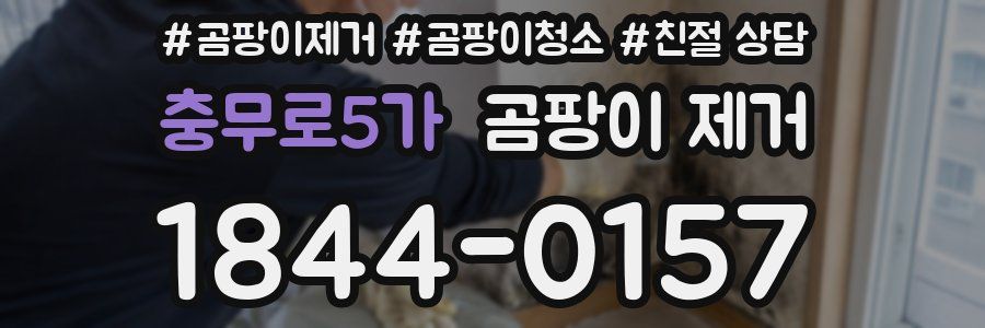 충무로5가 곰팡이 제거