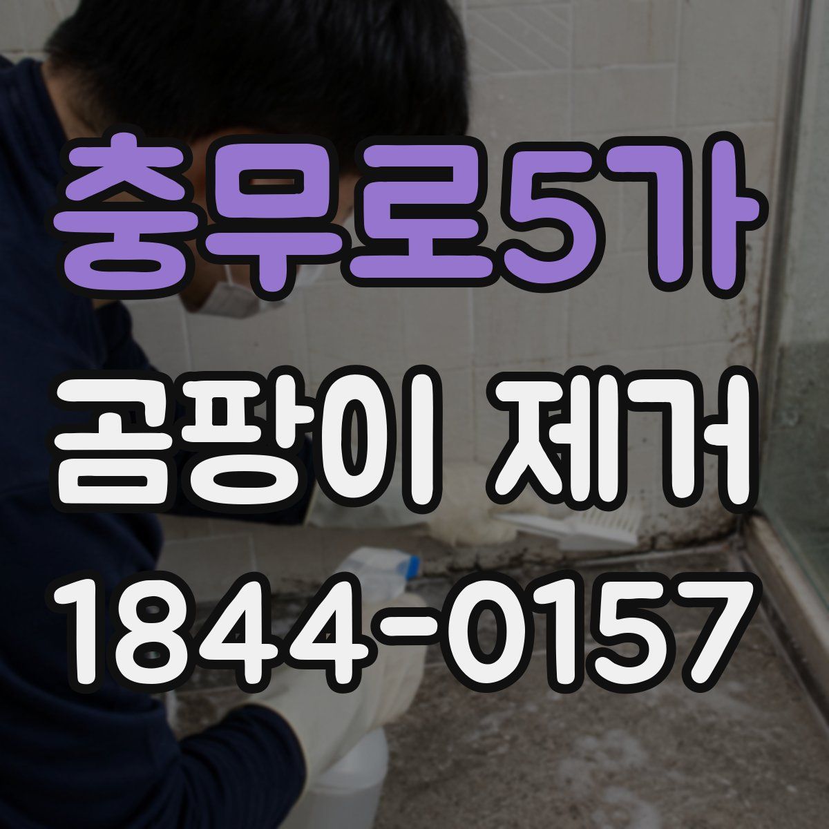 충무로5가 곰팡이 제거