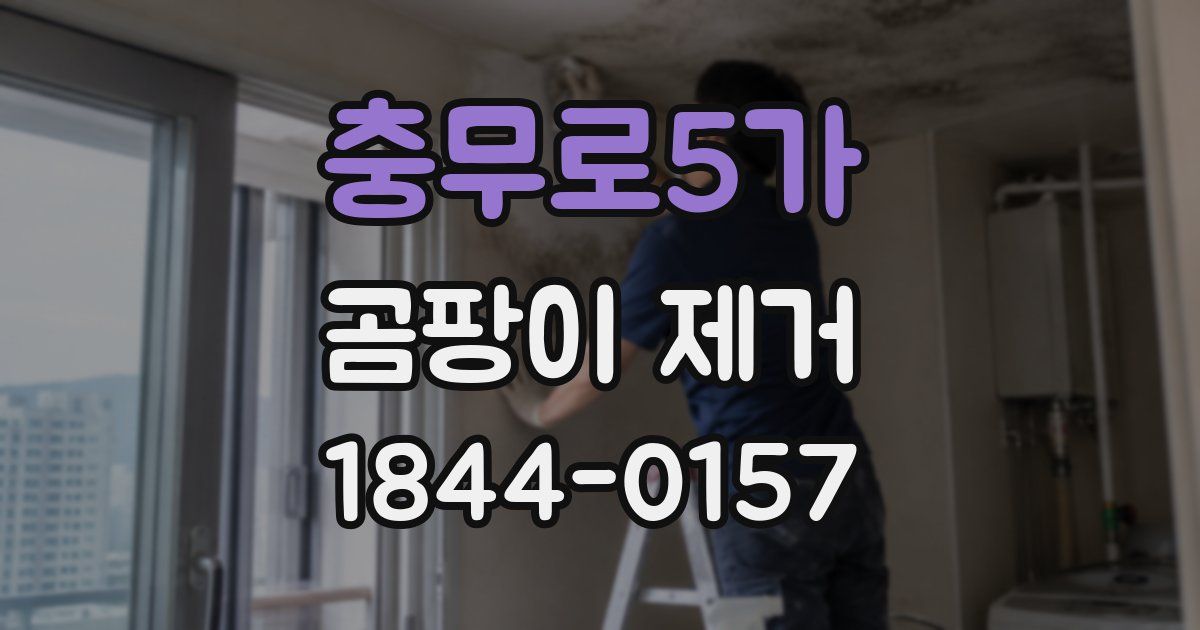 충무로5가 곰팡이 제거
