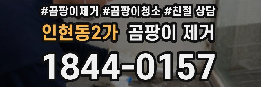 인현동2가 곰팡이 제거