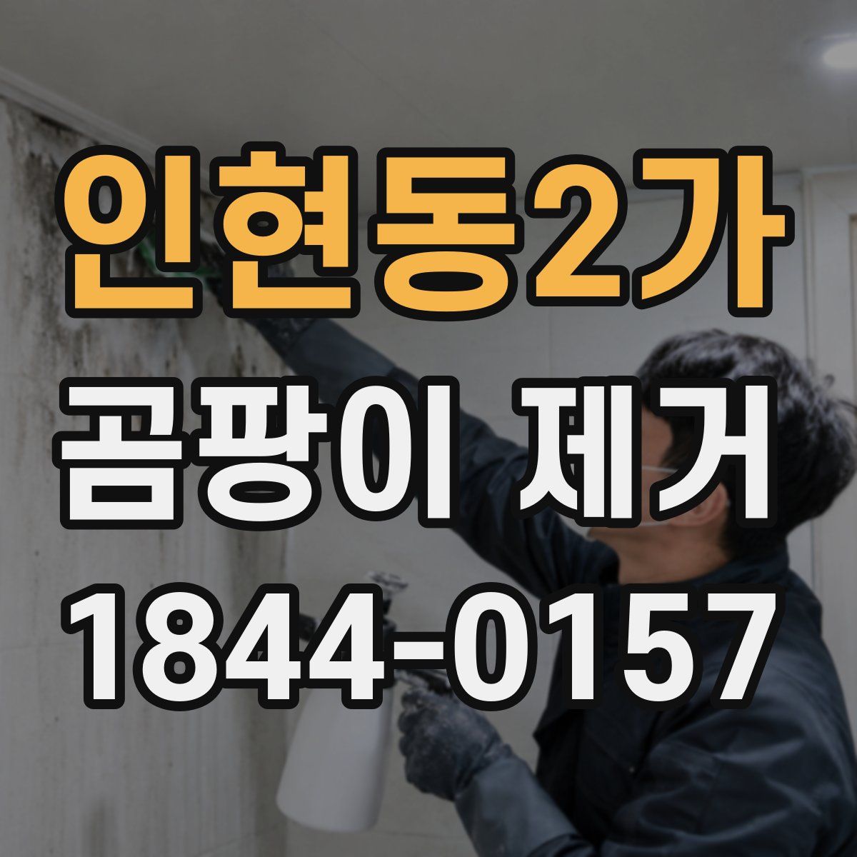 인현동2가 곰팡이 제거