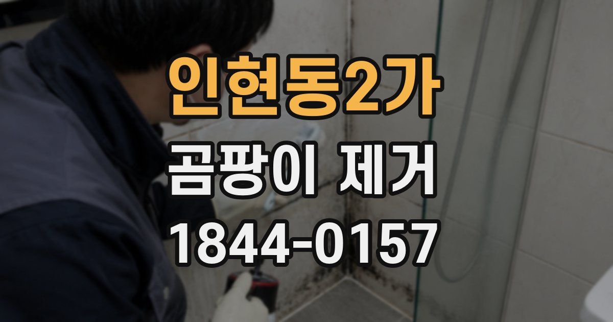 인현동2가 곰팡이 제거