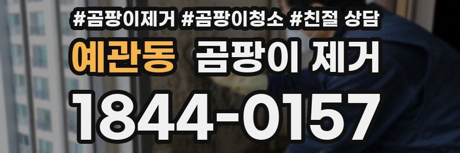 예관동 곰팡이 제거