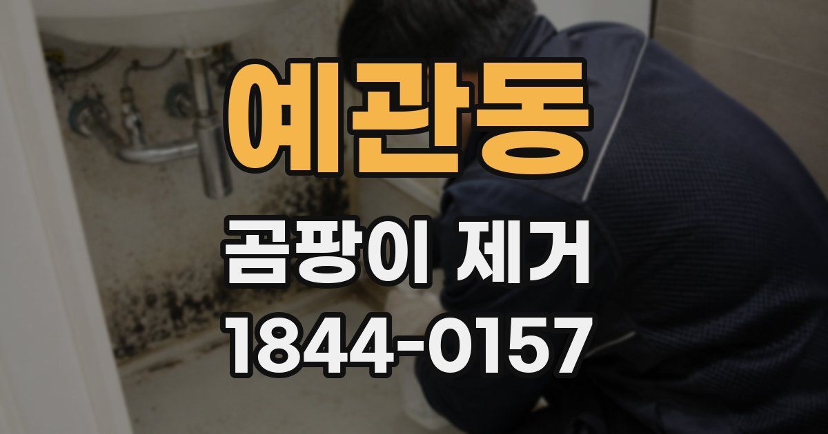 예관동 곰팡이 제거