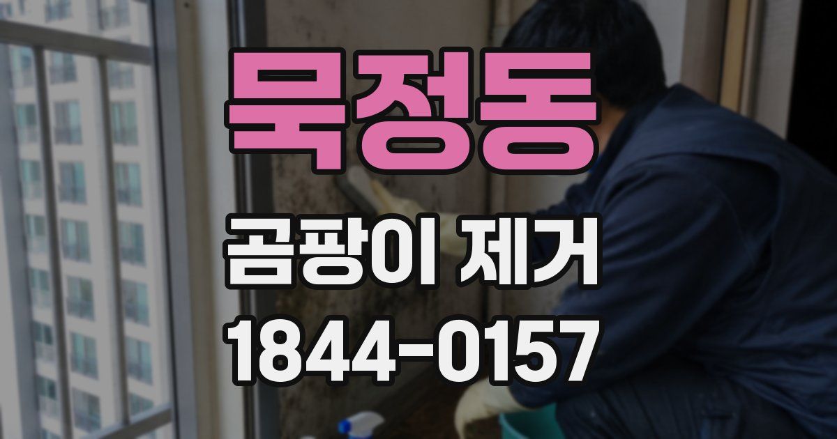 묵정동 곰팡이 제거