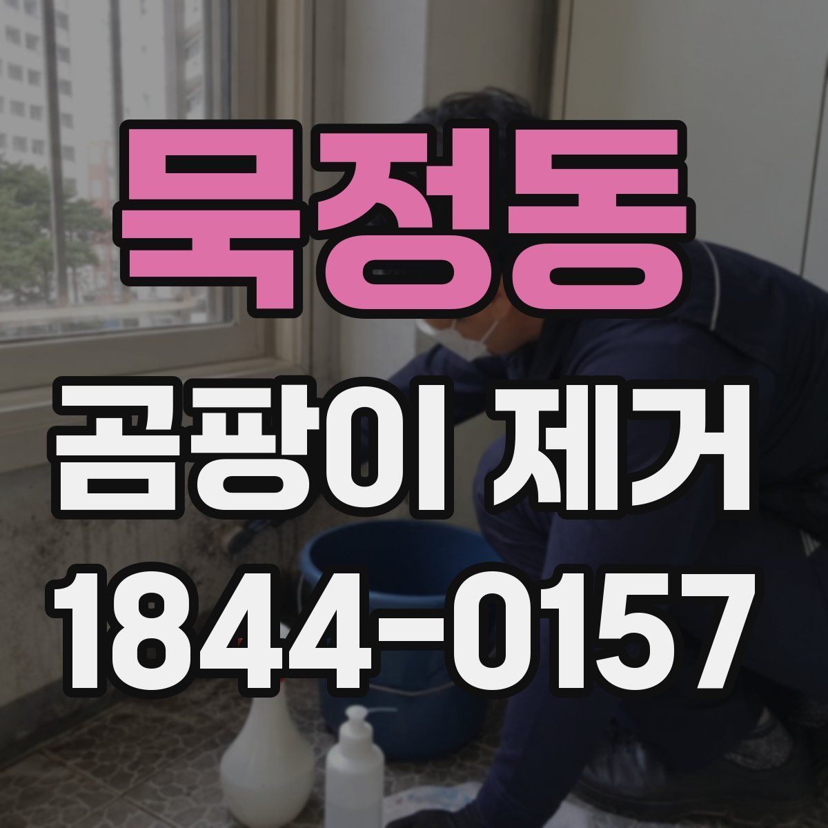 묵정동 곰팡이 제거