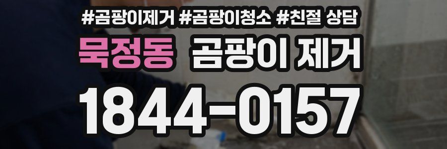 묵정동 곰팡이 제거
