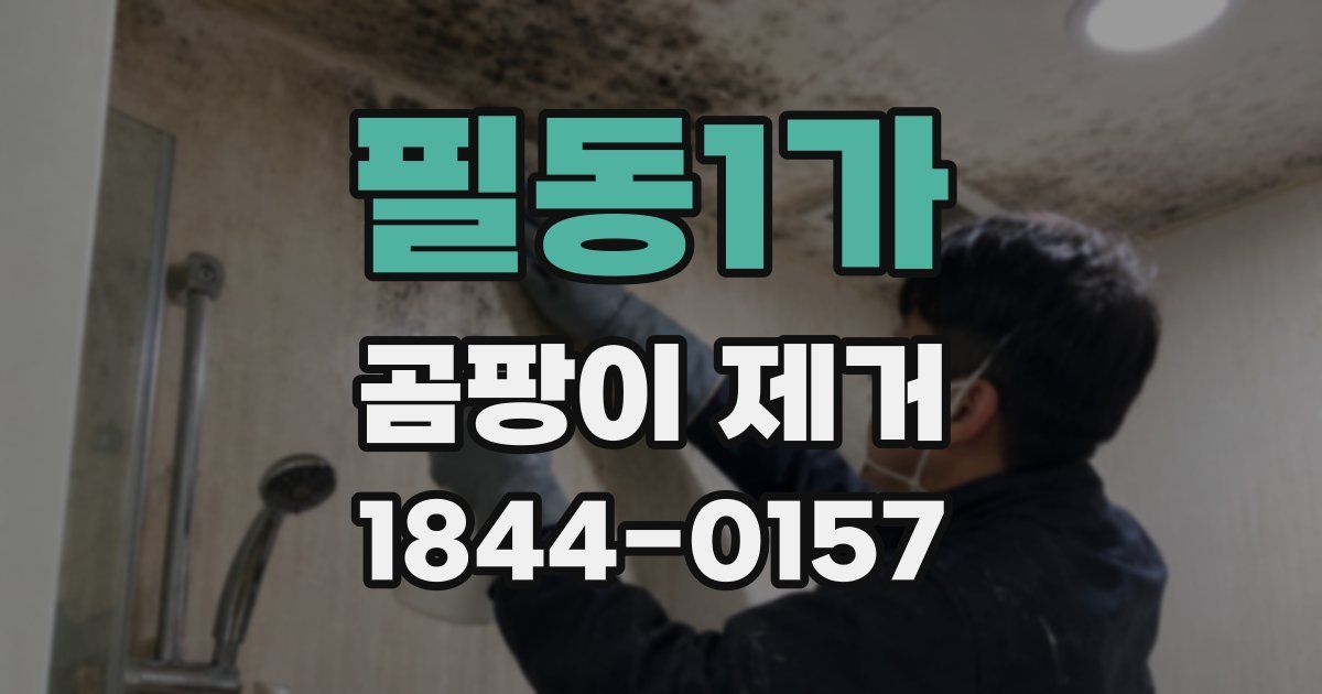 필동1가 곰팡이 제거