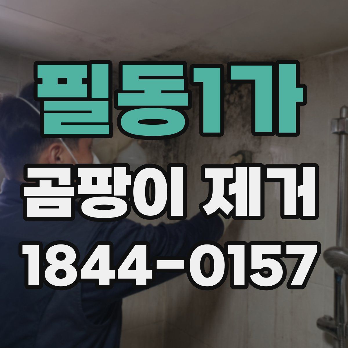 필동1가 곰팡이 제거