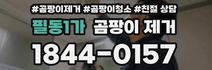 필동1가 곰팡이 제거