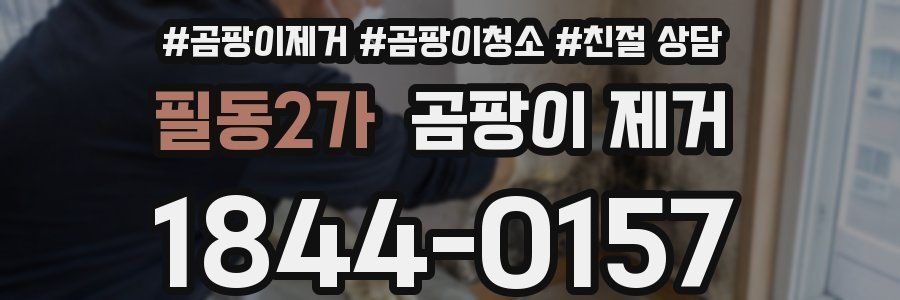 필동2가 곰팡이 제거
