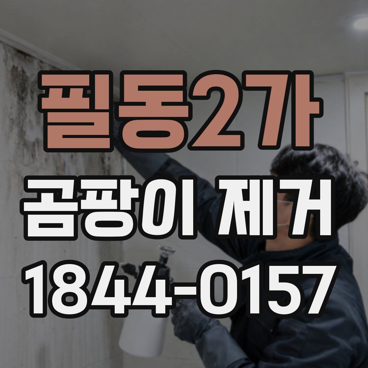 필동2가 곰팡이 제거