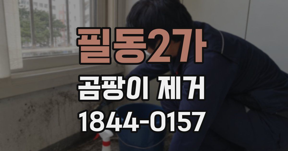 필동2가 곰팡이 제거