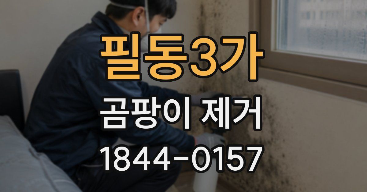 필동3가 곰팡이 제거