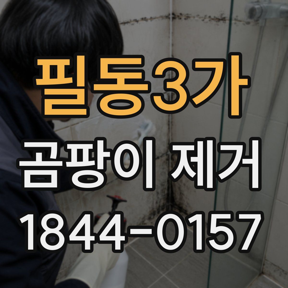 필동3가 곰팡이 제거