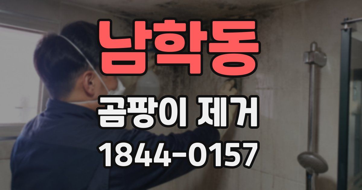남학동 곰팡이 제거
