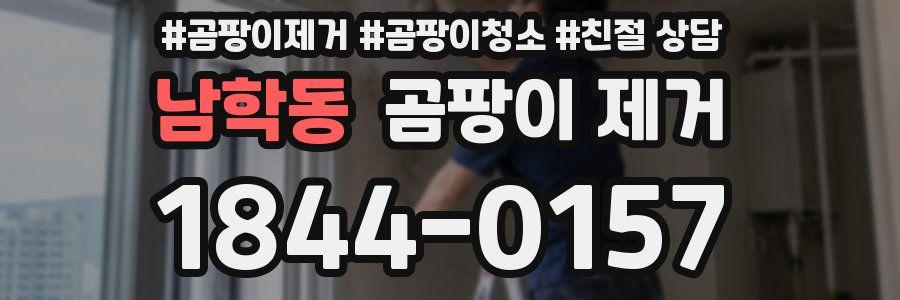 남학동 곰팡이 제거
