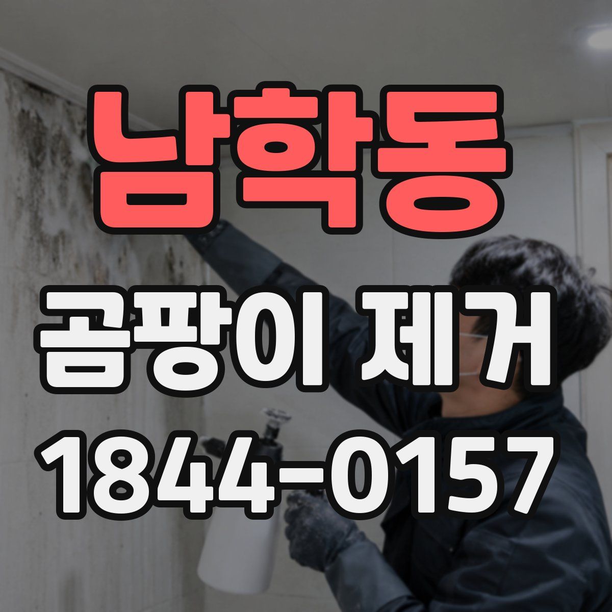 남학동 곰팡이 제거