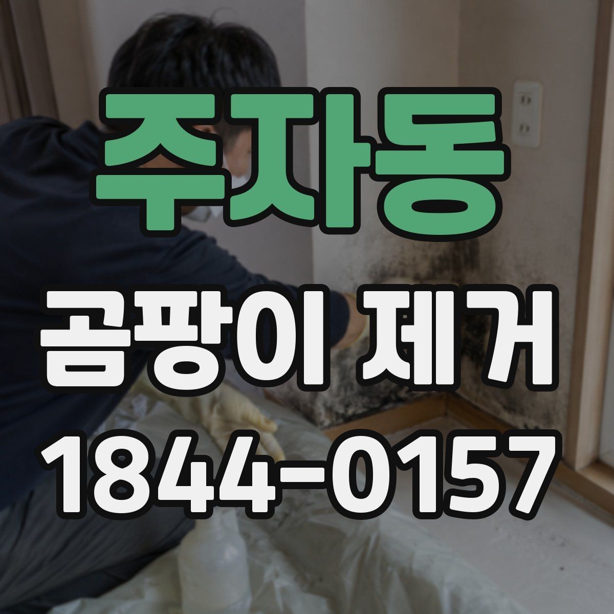 주자동 곰팡이 제거 창문 주변에 자주 생기는 이유