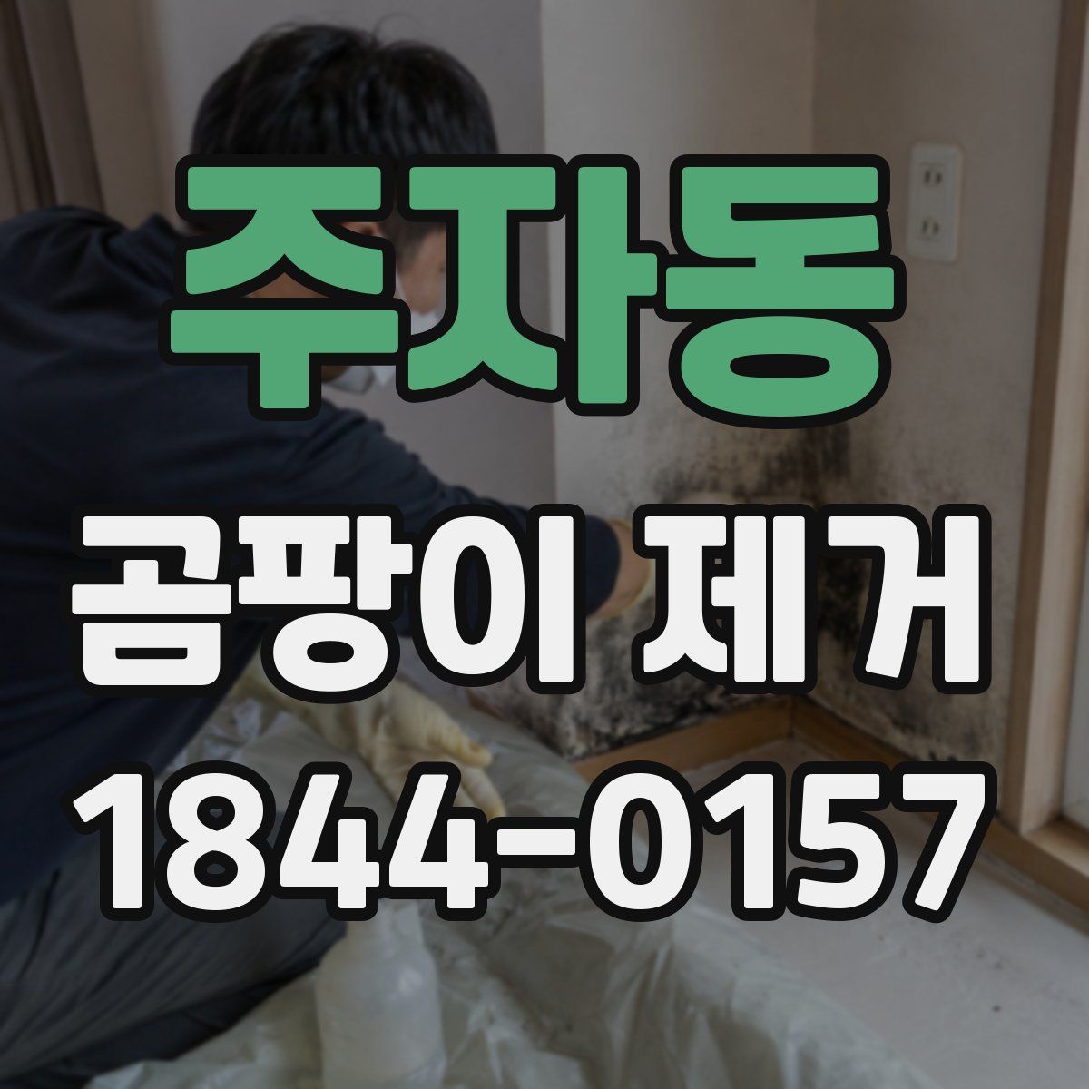 주자동 곰팡이 제거