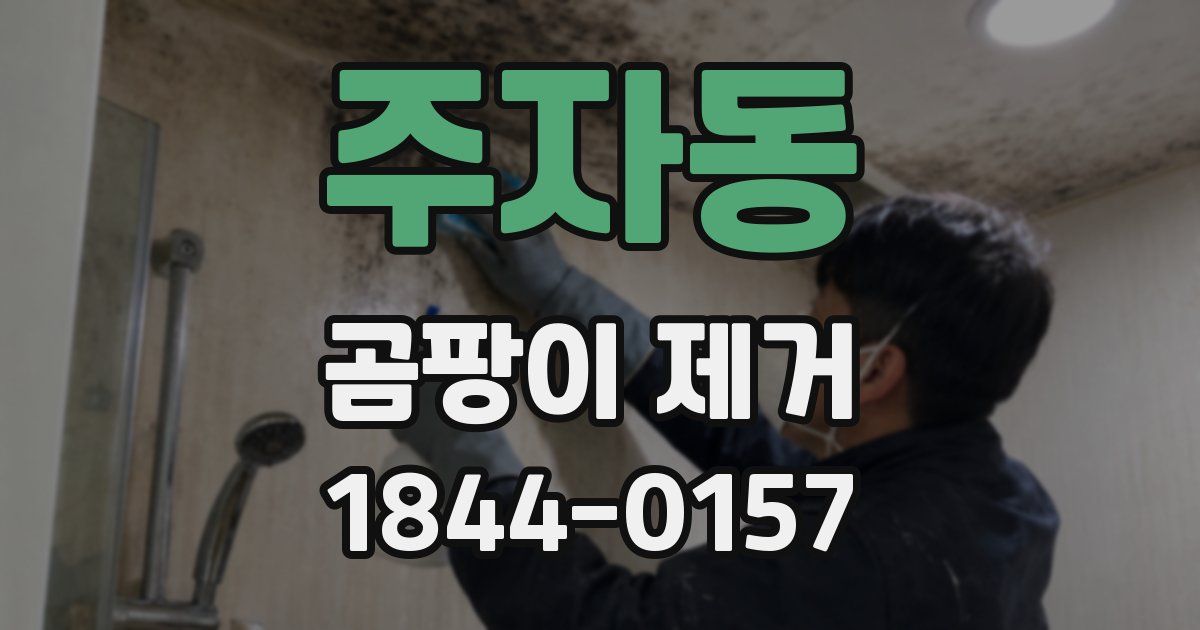 주자동 곰팡이 제거