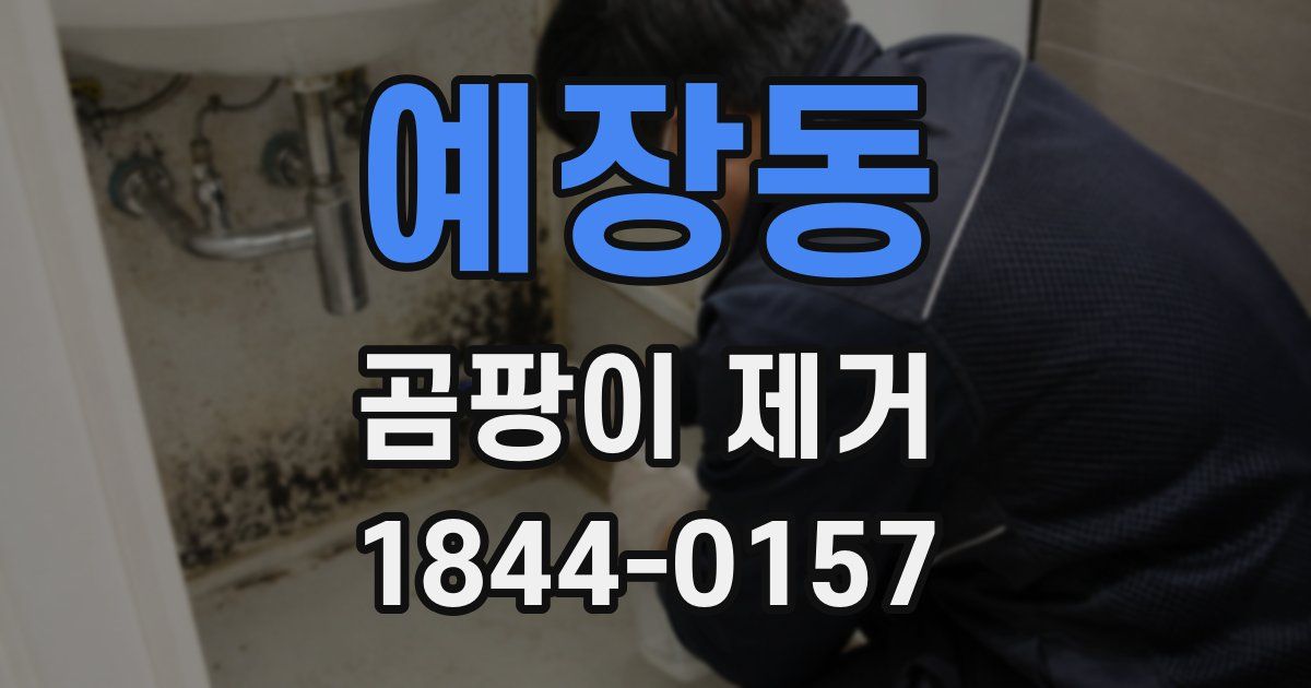 예장동 곰팡이 제거