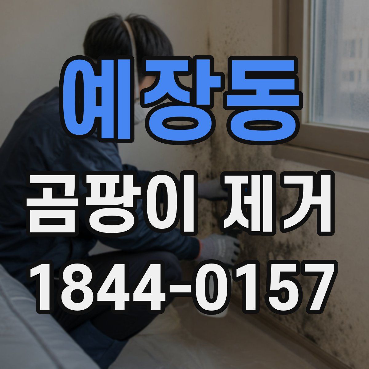 예장동 곰팡이 제거