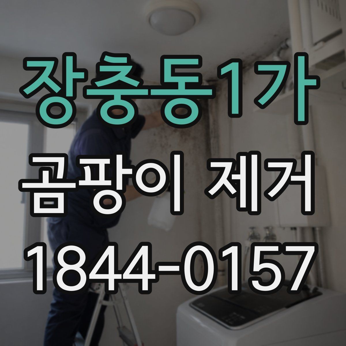 장충동1가 곰팡이 제거 원인별로 달라지는 대응 방법