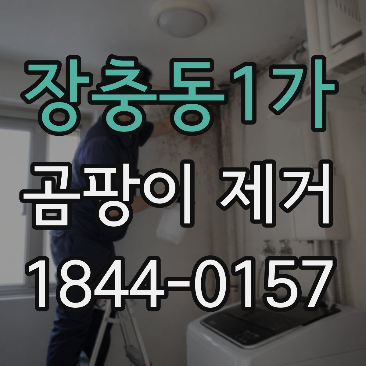 장충동1가 곰팡이 제거