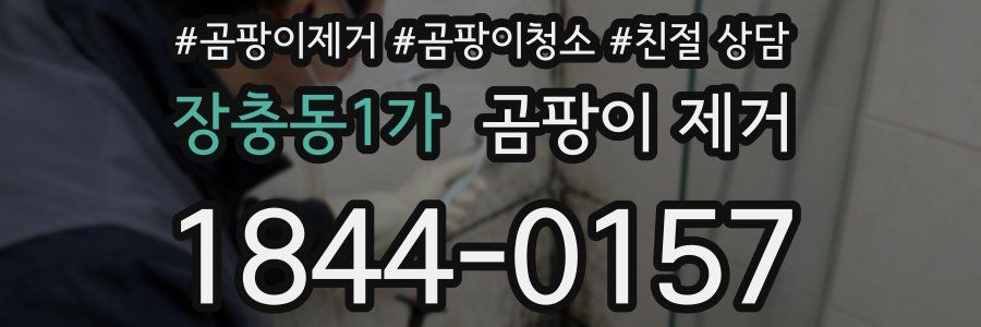 장충동1가 곰팡이 제거