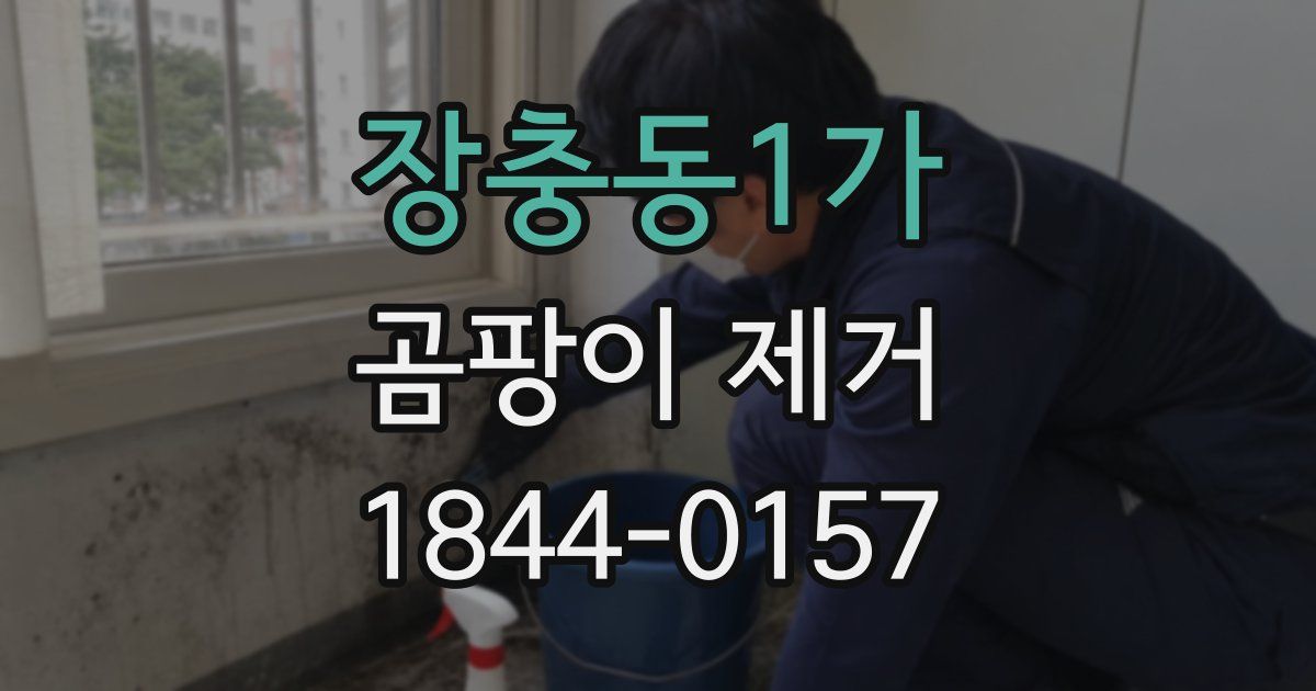 장충동1가 곰팡이 제거