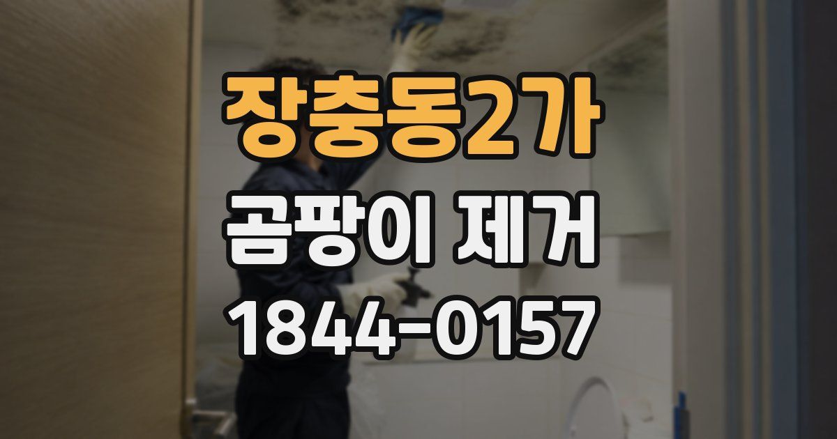 장충동2가 곰팡이 제거