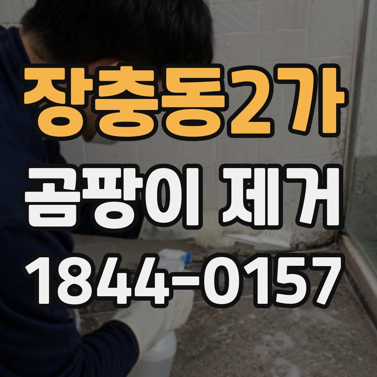 장충동2가 곰팡이 제거