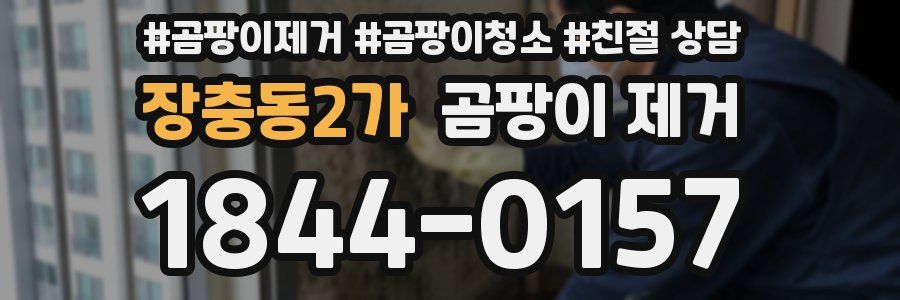 장충동2가 곰팡이 제거