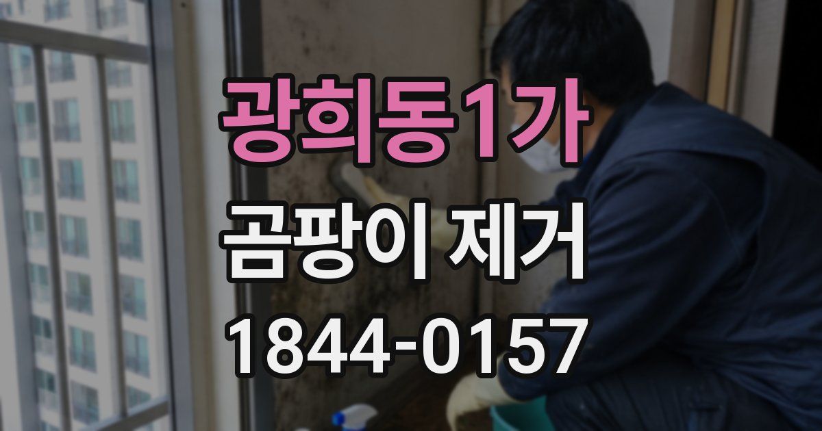 광희동1가 곰팡이 제거