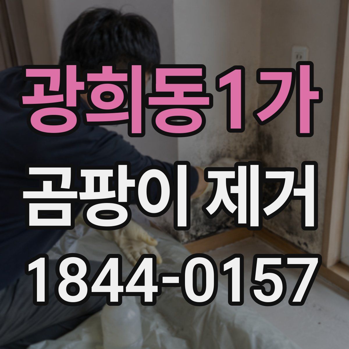 광희동1가 곰팡이 제거