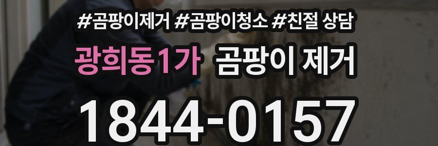 광희동1가 곰팡이 제거