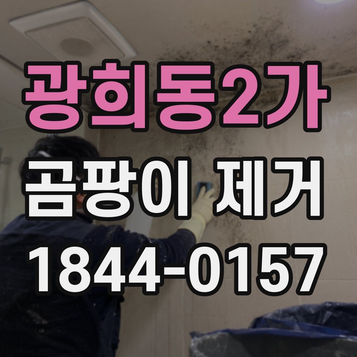 광희동2가 곰팡이 제거 작업 후 바로 확인할 체크리스트