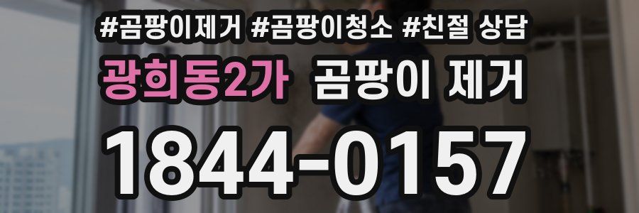 광희동2가 곰팡이 제거